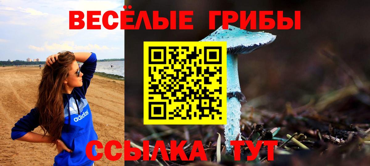 Галлюциногенные грибы мицелий  Вход с VPN  Псилоцибиновые грибы Psilocybe  Кимовск 